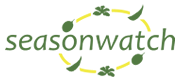 SW_logo