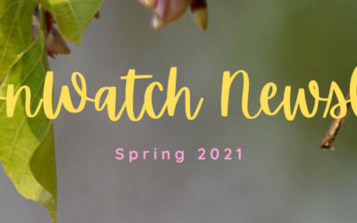 SeasonWatch News, April 2021