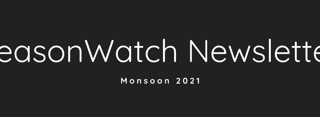 SeasonWatch News, June 2021