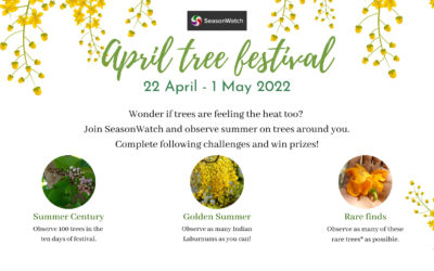 April Tree Festival 2022 – A report