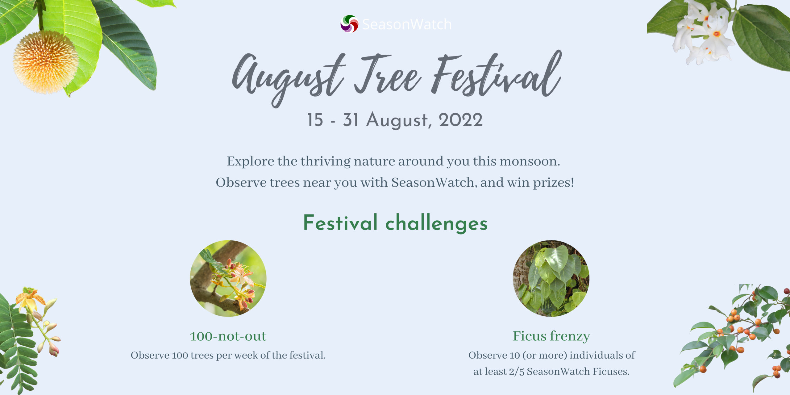August Tree Festival 2022 – A report