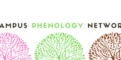 Campus Phenology Network