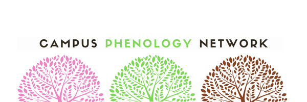 Campus Phenology Network