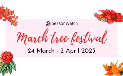 March Tree Festival 2023 – A Report