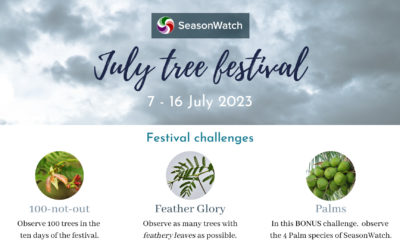 July Tree Festival 2023 – A Report
