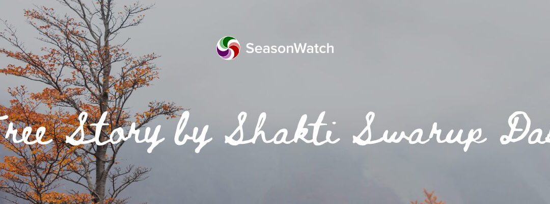 The Seasonality of Trees: Rooted in Silence, Speaking in Seasons